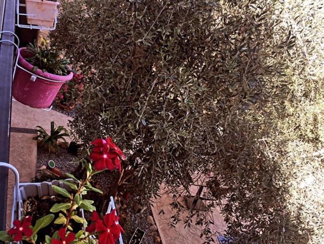 Bella Casetta Guest House Famagusta  Bagian luar foto
