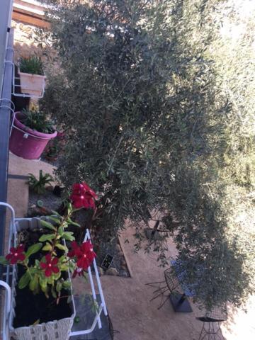 Bella Casetta Guest House Famagusta  Bagian luar foto